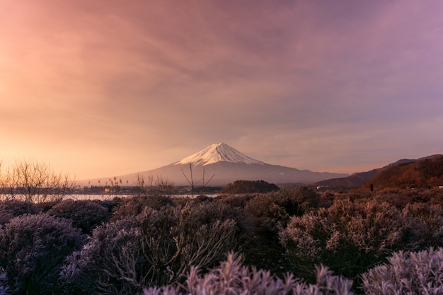 Photo mountian at lake kawaguchiko in japan, landscape morning sunrise