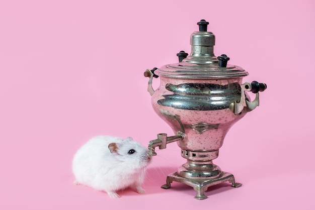 Photo mouse rodent on a pink background with a samovar russian traditions of zoo goods hamsters