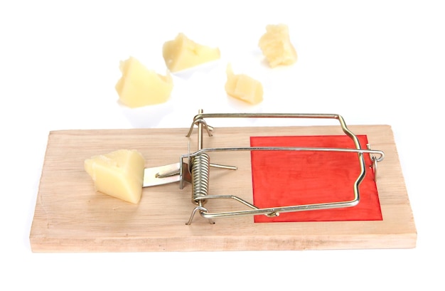 Photo mousetrap with cheese isolated on white