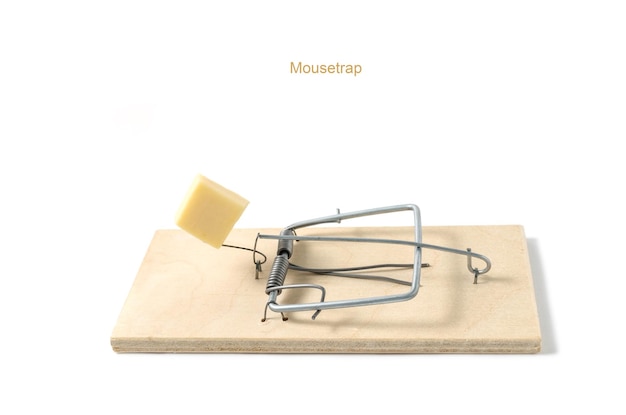 Mousetrap with cheese on white background with place for inscription