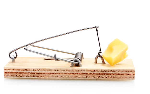 Mousetrap with piece of cheese isolated on white