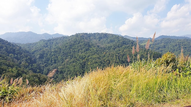 Mountain view paesaggio in thailandia