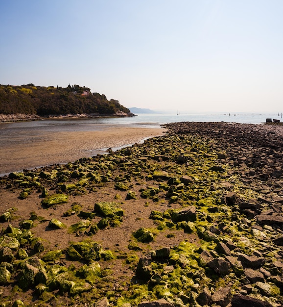 Photo mouth of the timavo river