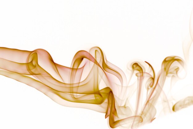 Movement of smoke Abstract blue smoke on white background blue backgroundblue ink background