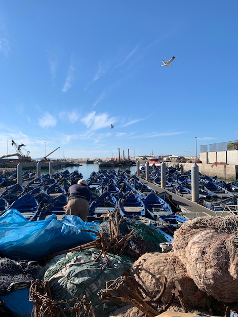 Foto möwen vliegen over de zee tegen de blauwe hemel.