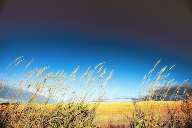 mowing field autumn landscape