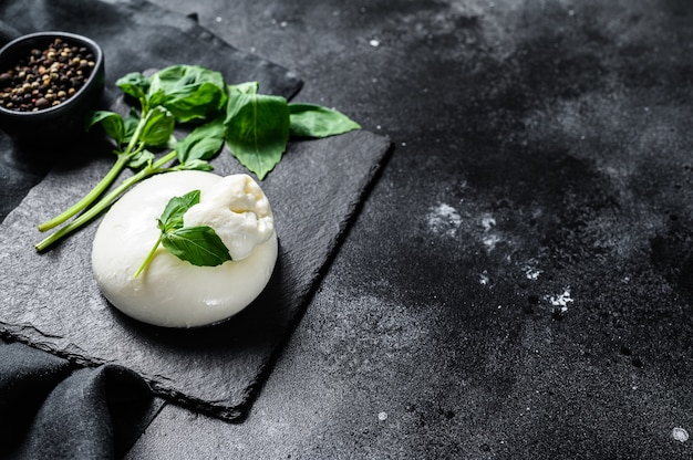 Mozzarella Burrata cheese with Basil leaves