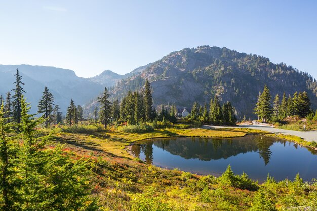 Mt Baker area