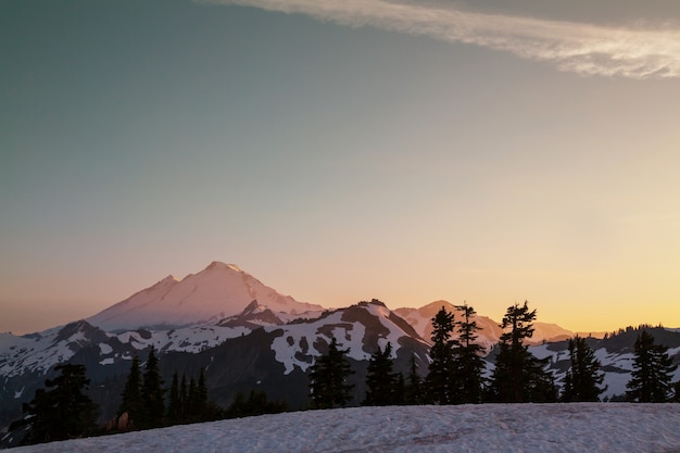 Mt Baker recreatiegebied in het zomerseizoen