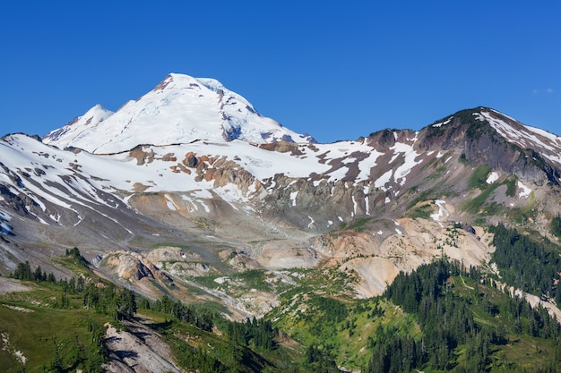 Mt Baker recreatiegebied in het zomerseizoen