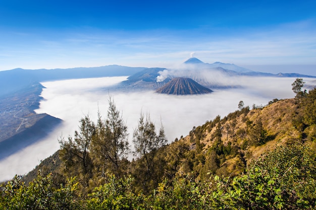 Mt. bromo