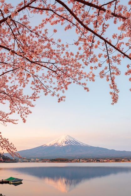 Mt Fuji as scene from Kawaguchi Lake Japan