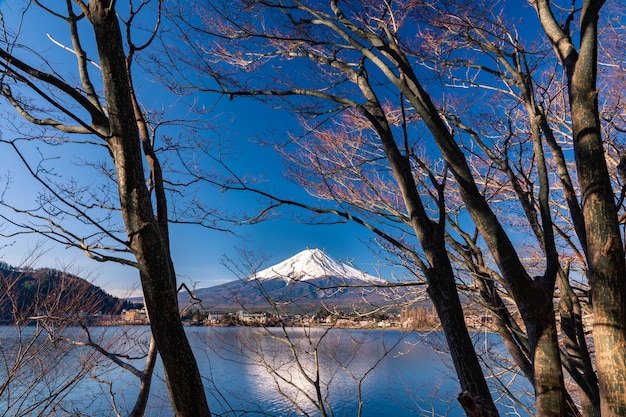 사진 산. 일본 후지 요시다 카와 구 치코의 후지산.