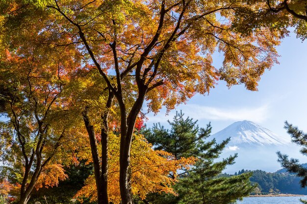 秋の富士山