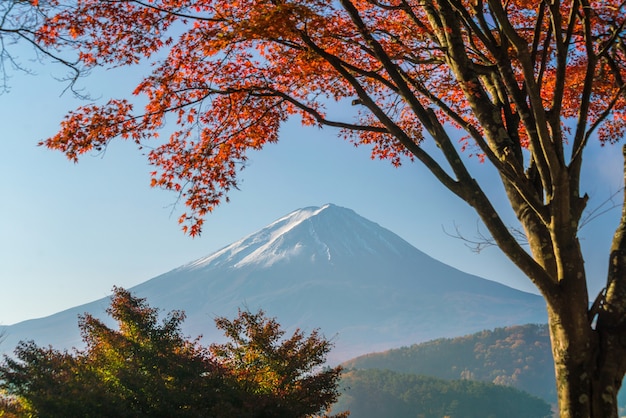 Гора Фудзи осенью с красными кленовыми листьями на озере Кавагутиго, Япония.