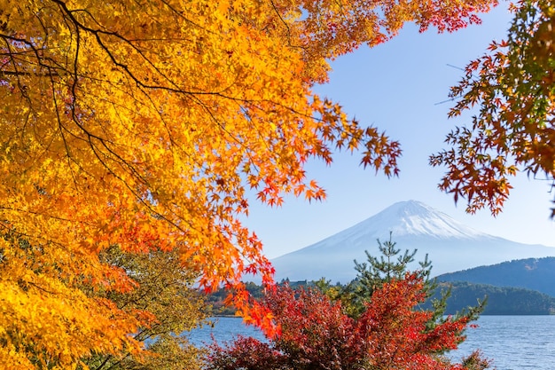 Mt.fuji in autumn