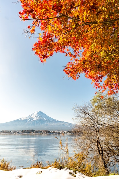 Mt. Fuji in autumn