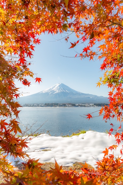 Mt. fuji in autumn