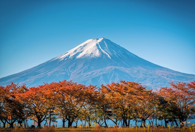 山富士河口湖、日本で昼間の紅葉と青い空を背景に富士。
