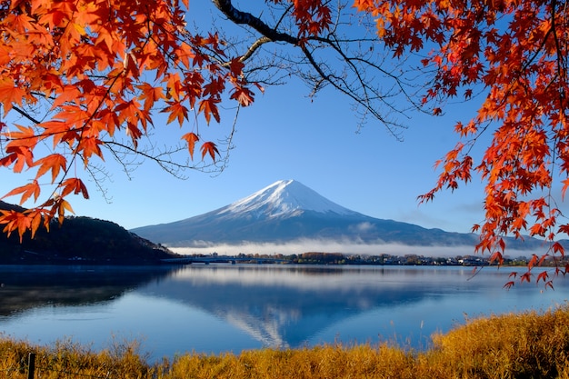 Mt.Fuji en herfstgebladerte bij Lake Kawaguchi