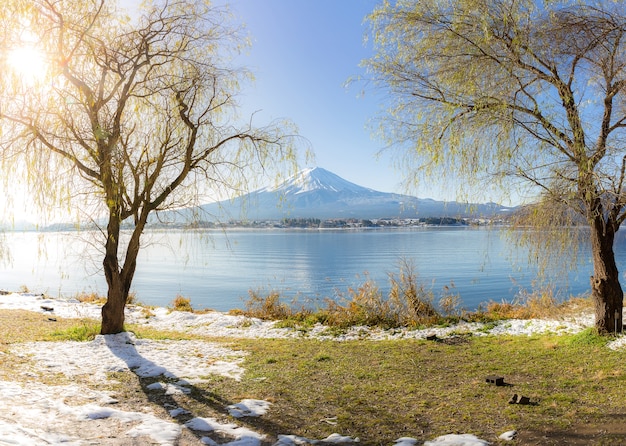 Mt. Fuji in de herfst