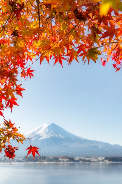 Mt. Fuji in de herfst