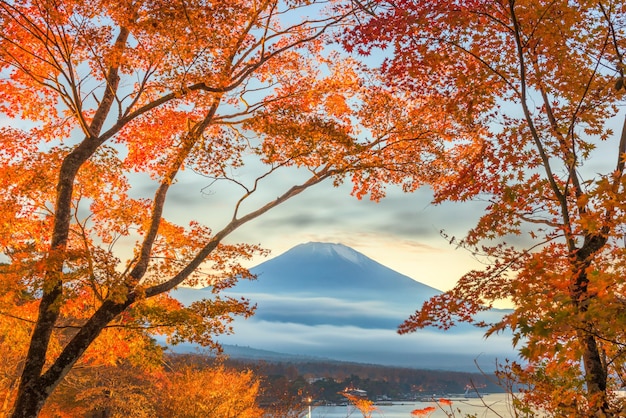 紅葉と富士山日本