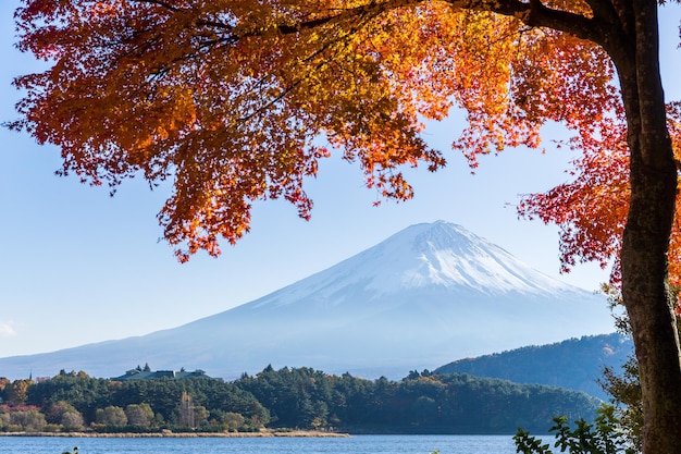 富士山とカエデ