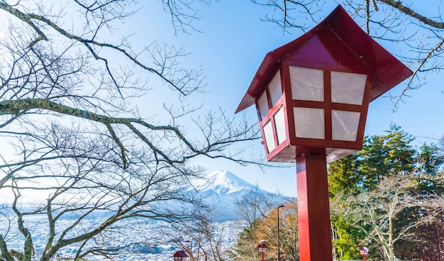 Mt. Fuji met Chureito-pagode in de herfst, Fujiyoshida.