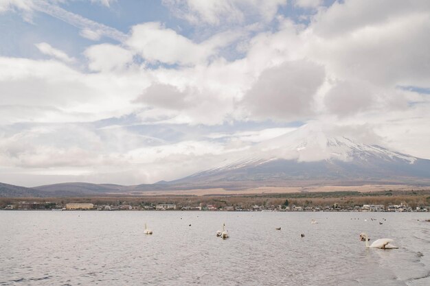 Photo mt fuji in morning at lake yamanaka with swan yamanakako japan