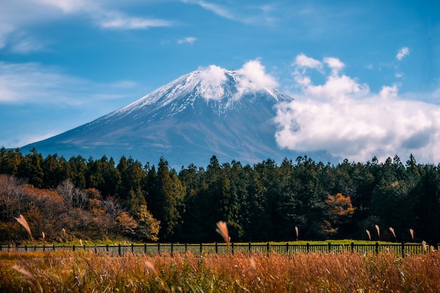 写真 山富士河口湖、日本で昼間の紅葉と青い空を背景に富士。