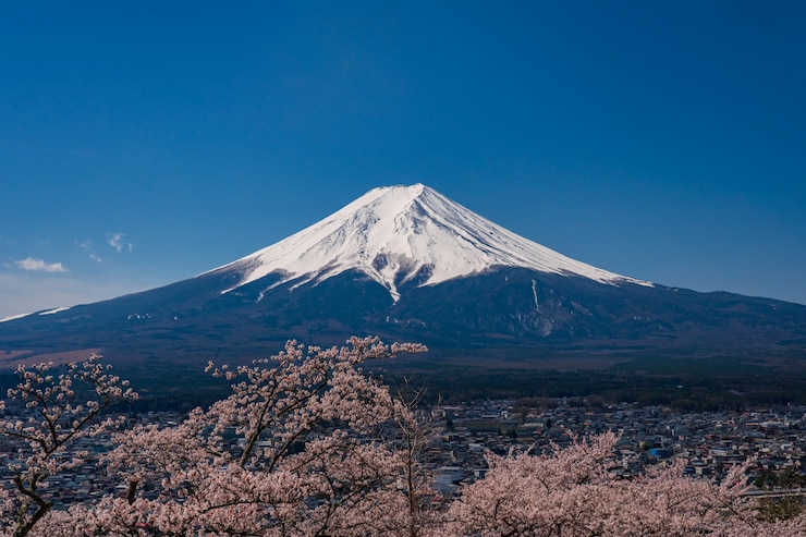 Photo 山春の間に富士が河口湖藤吉田で桜の花を咲かせる。