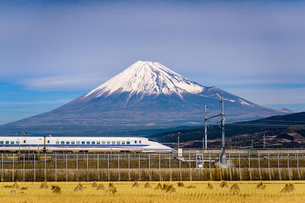 Mt Fuji and Train