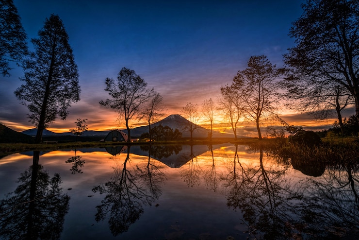 Photo mt. fuji with big trees and lake at sunrise in fujinomiya, japan