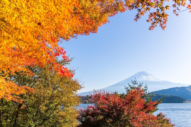 富士山。富士