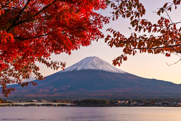 Foto mt fuji