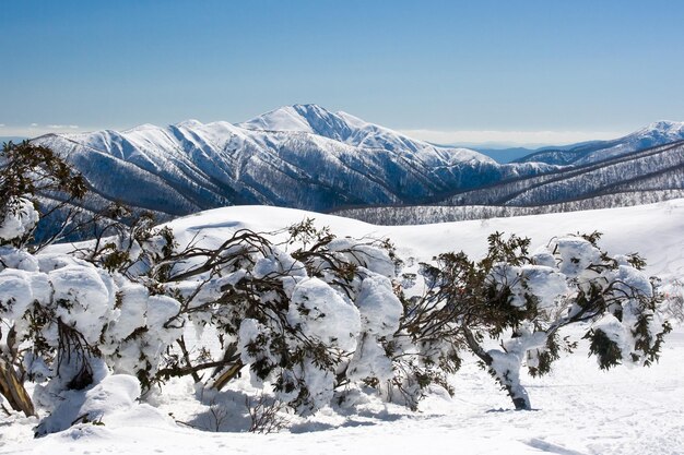 Photo mt hotham ski resort after fresh snow looking towards mt feathertop