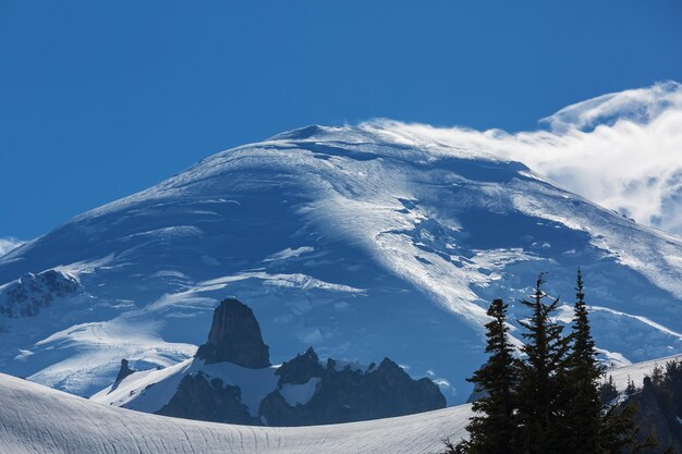 Mt rainier