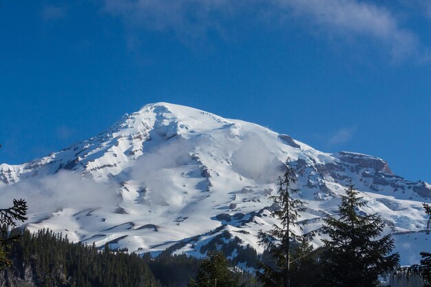 Mt Rainier