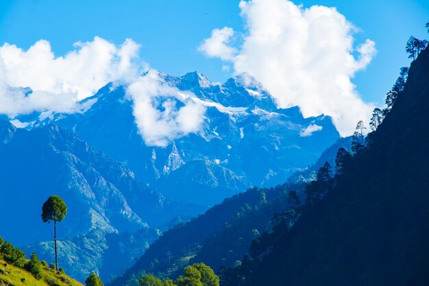 Mt. Saipal Base Camp Trekking in Himalaya of Bajura Nepal