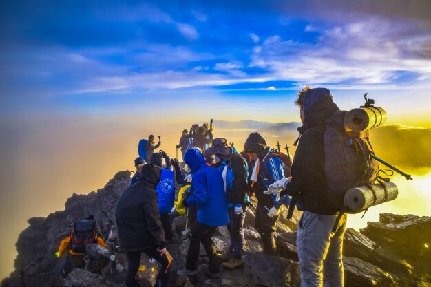 Summit Delight Voyages
