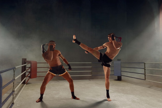 Muay thai thai boxing fighters