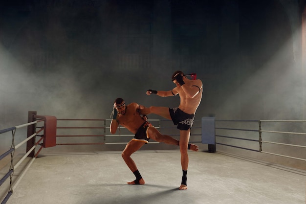 Muay thai thai boxing fighters