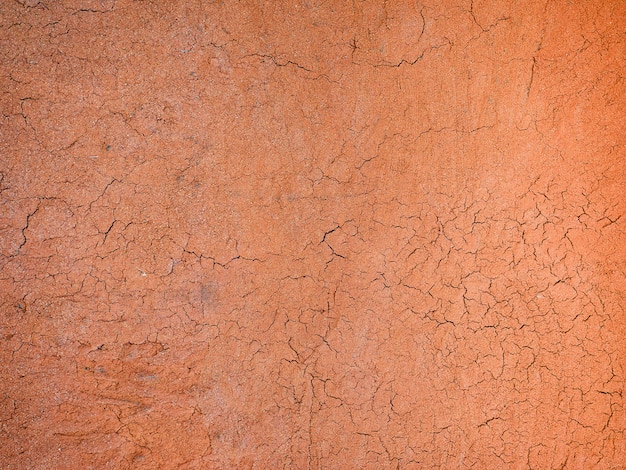 Mud Home Wall Texture 