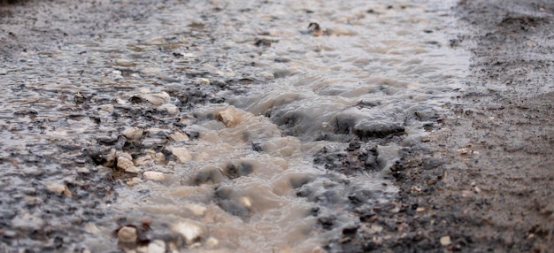 mud stream springtime