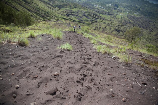 Foto terreno fangoso