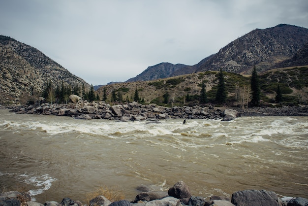 Muddy water in a turbulent river on the background of mountains and grey sky. Early spring, meltwater, no greenery. Wild deserted rocky shore.