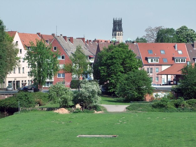 Muenster