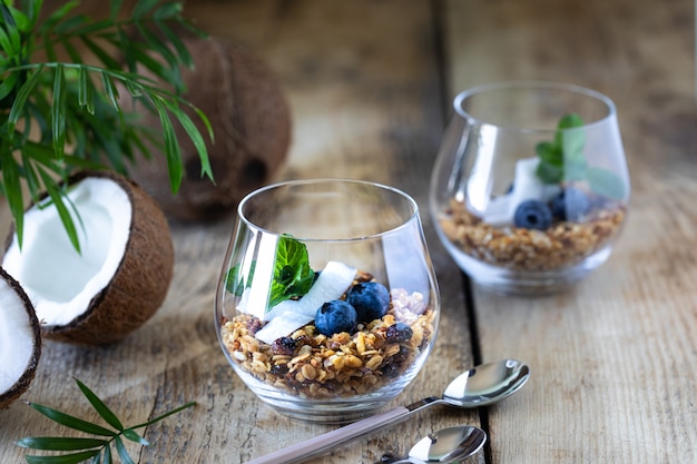 muesli with fresh blueberries, coconut and mint