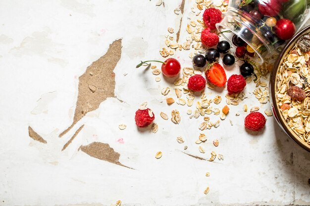 Muesli with wild berries